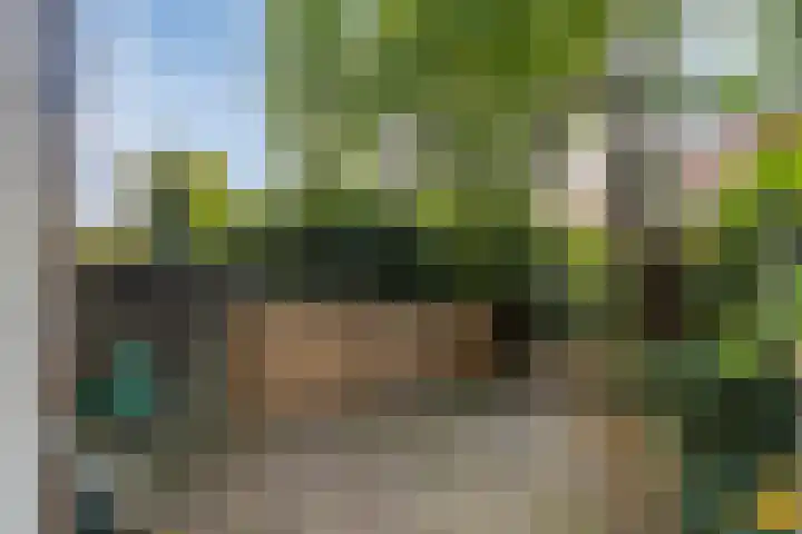 Strevelsweg 222 A Rotterdam thumbnail 16