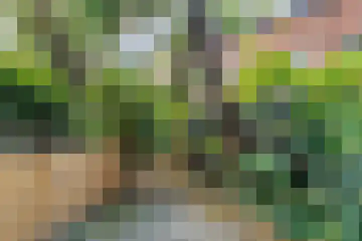 Strevelsweg 222 A Rotterdam thumbnail 17