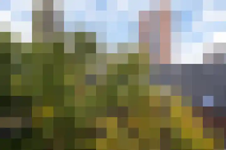 Strevelsweg 222 A Rotterdam thumbnail 37
