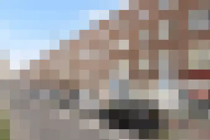 Strevelsweg 222 A Rotterdam thumbnail 41