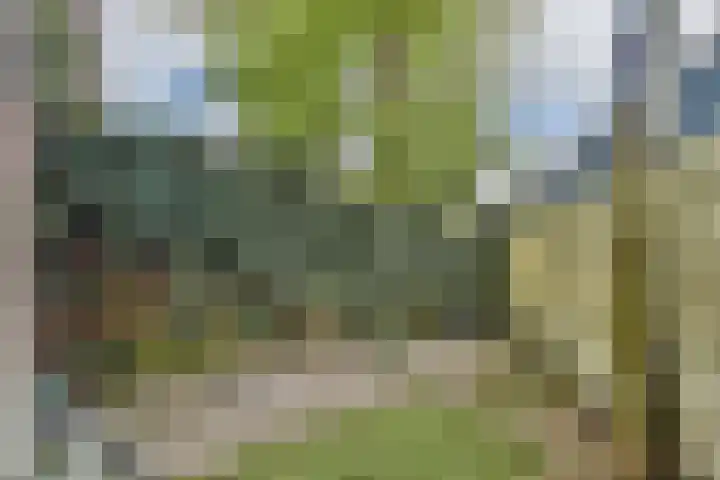 Strevelsweg 224 Rotterdam thumbnail 26