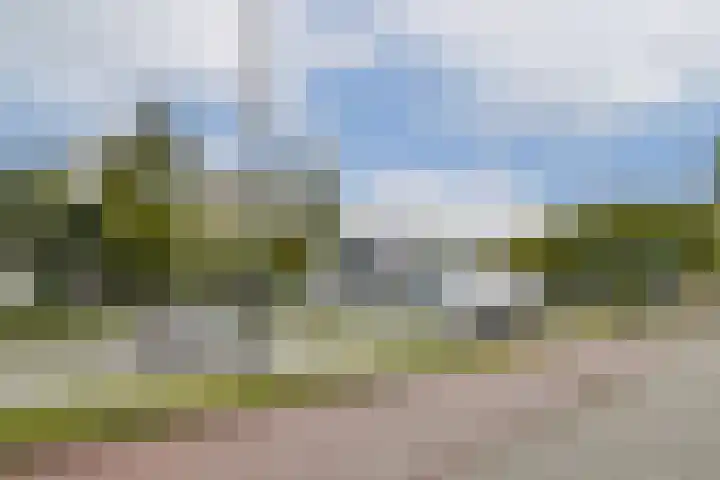 Strevelsweg 224 Rotterdam thumbnail 31