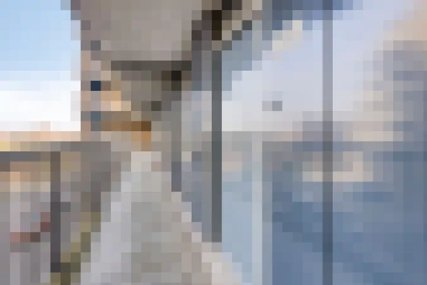 Strevelsweg 225 Rotterdam thumbnail 7