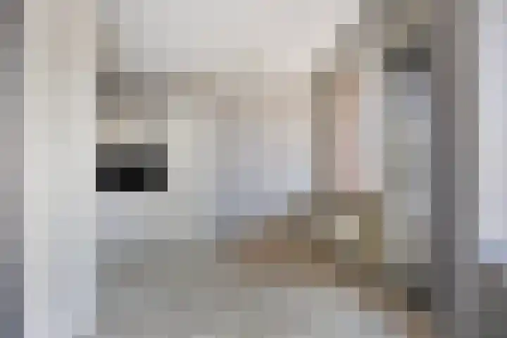 Strevelsweg 227 Rotterdam thumbnail 6