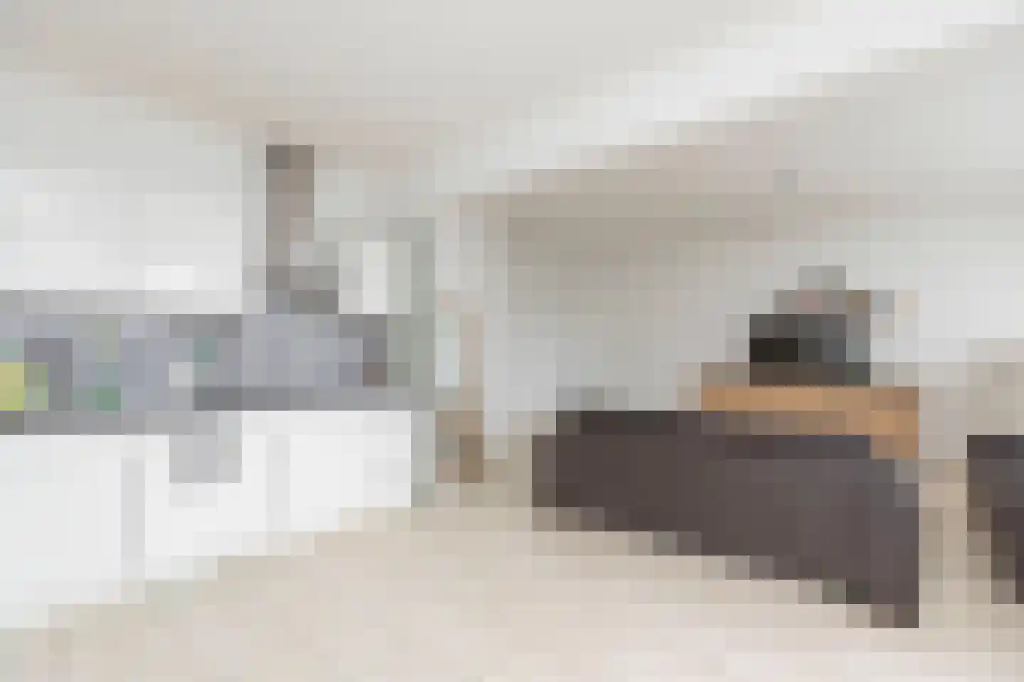 Strevelsweg 229 Rotterdam thumbnail 11