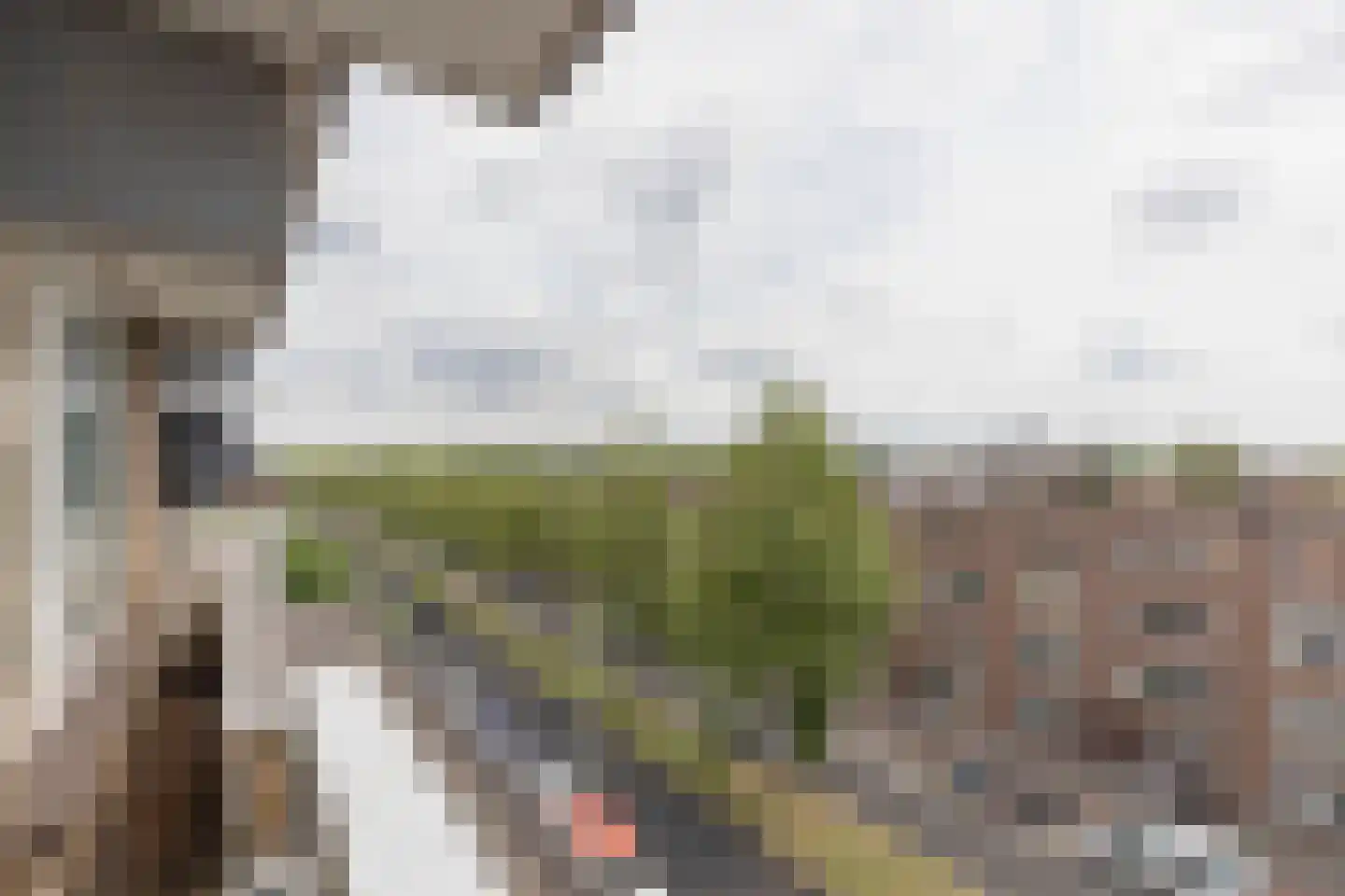 Strevelsweg 229 Rotterdam thumbnail 20