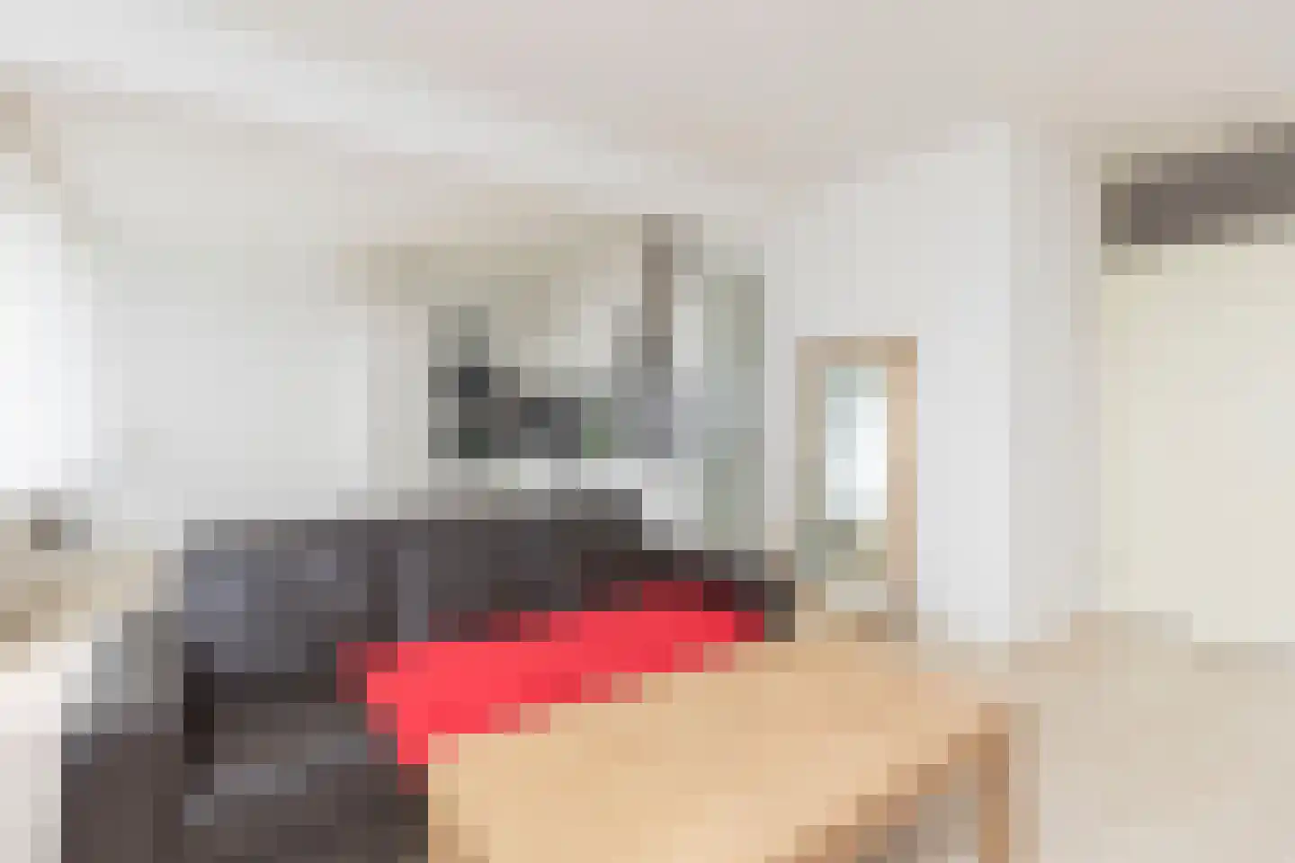 Strevelsweg 229 Rotterdam thumbnail 8