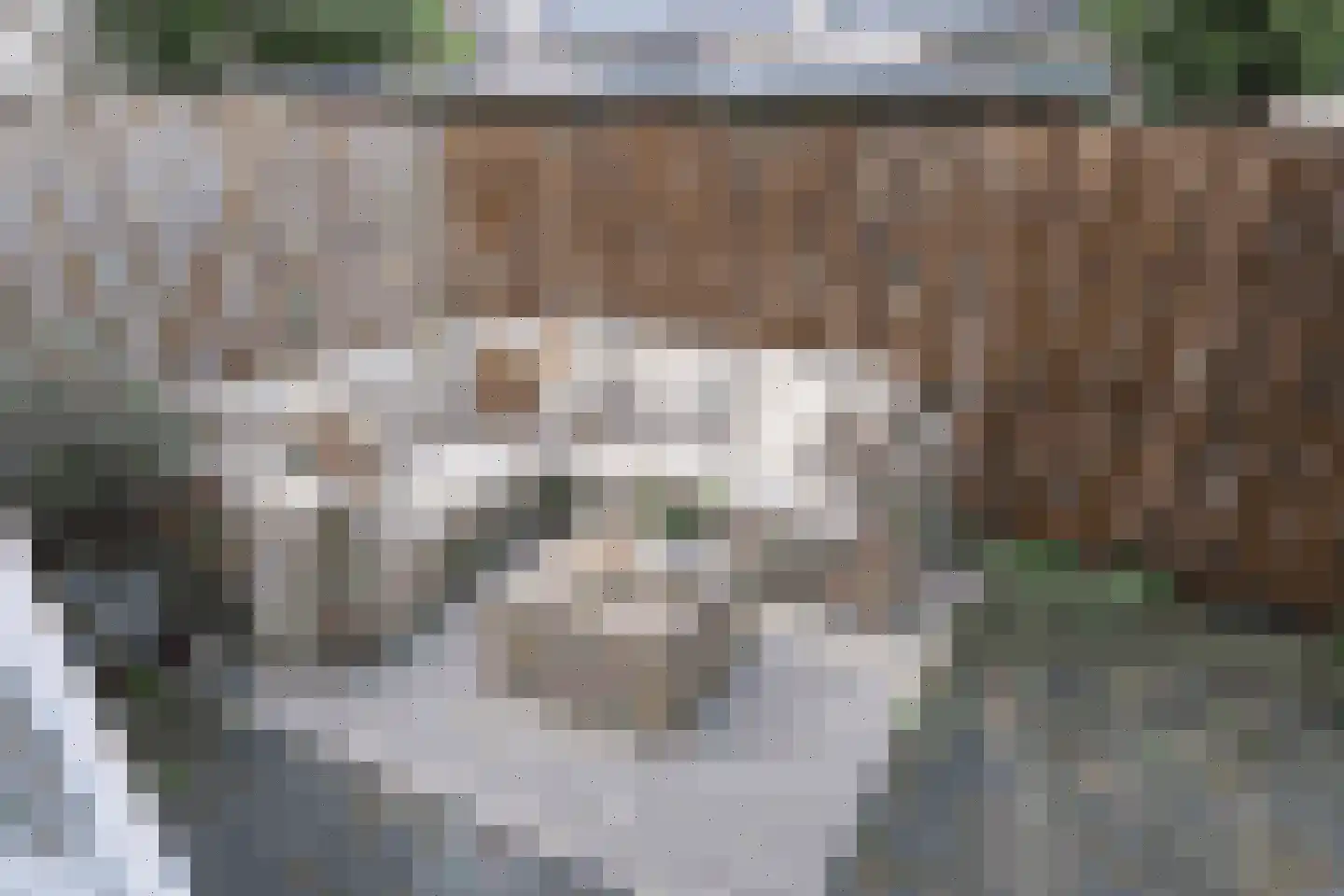 Strevelsweg 23 A Rotterdam thumbnail 6