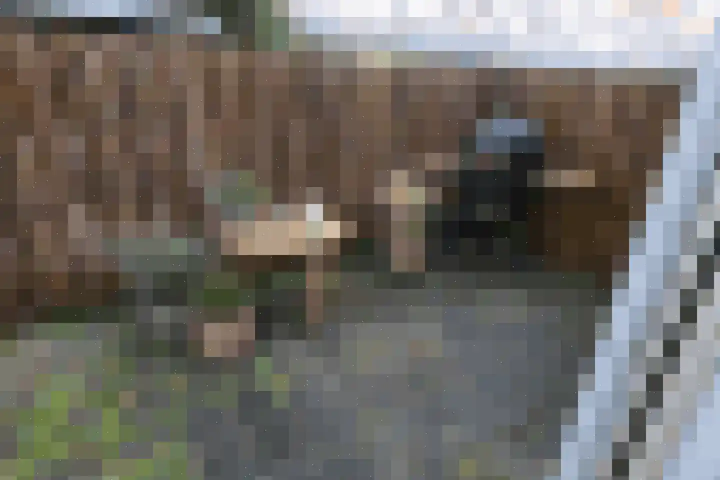 Strevelsweg 23 A Rotterdam thumbnail 7