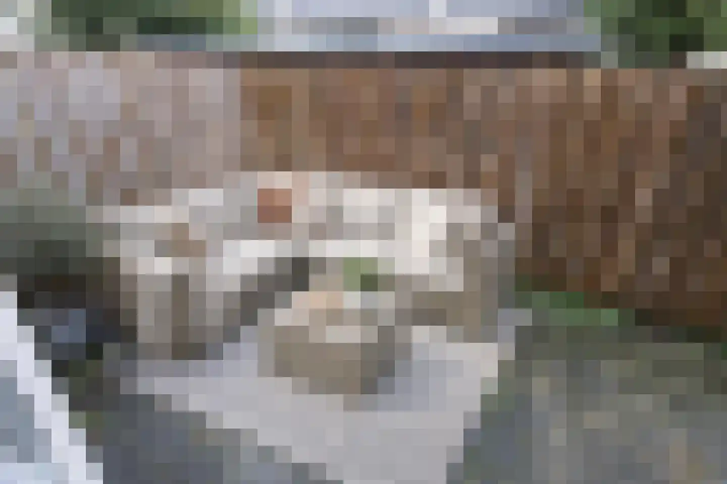 Strevelsweg 23 B Rotterdam thumbnail 6