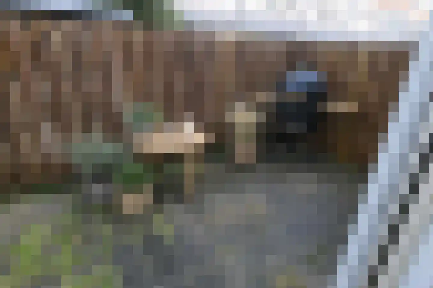 Strevelsweg 23 B Rotterdam thumbnail 7