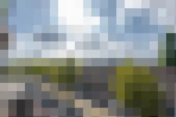 Strevelsweg 233 Rotterdam thumbnail 20