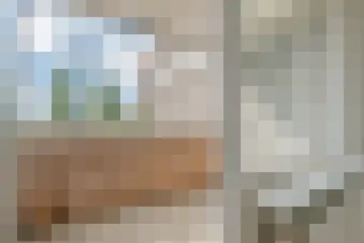 Strevelsweg 233 Rotterdam thumbnail 5