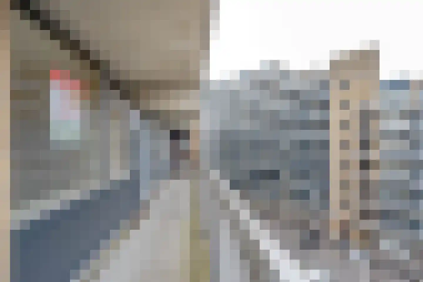 Strevelsweg 245 Rotterdam thumbnail 21