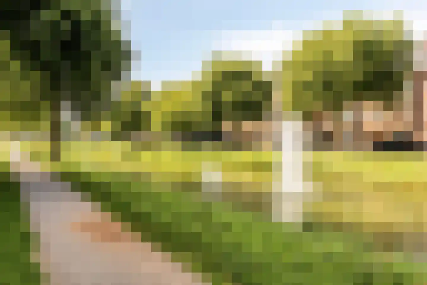 Strevelsweg 245 Rotterdam thumbnail 32