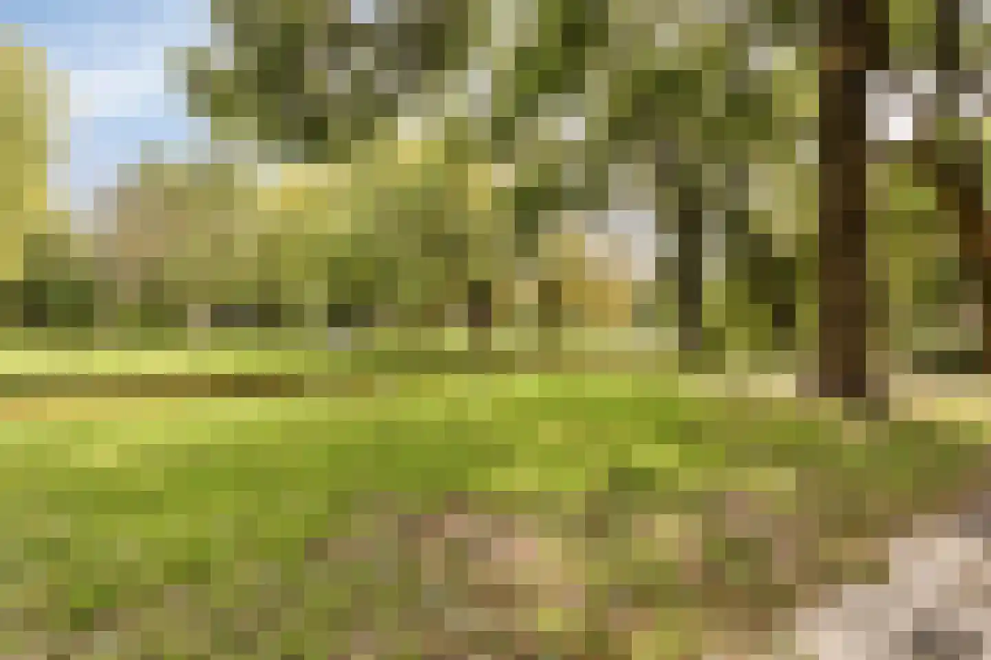 Strevelsweg 245 Rotterdam thumbnail 33