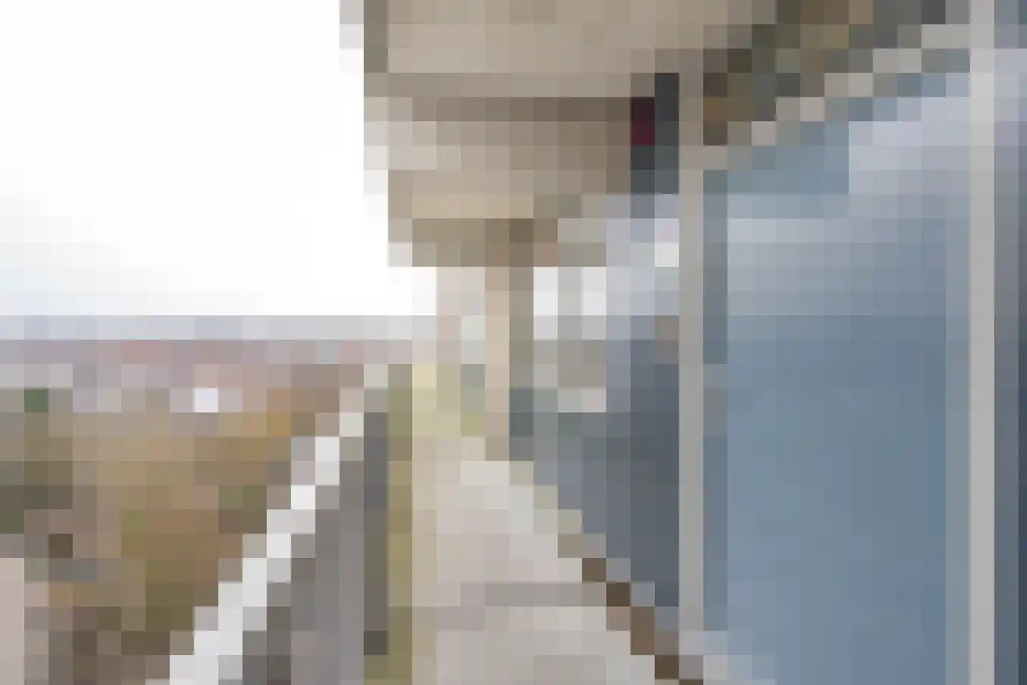 Strevelsweg 245 Rotterdam thumbnail 7