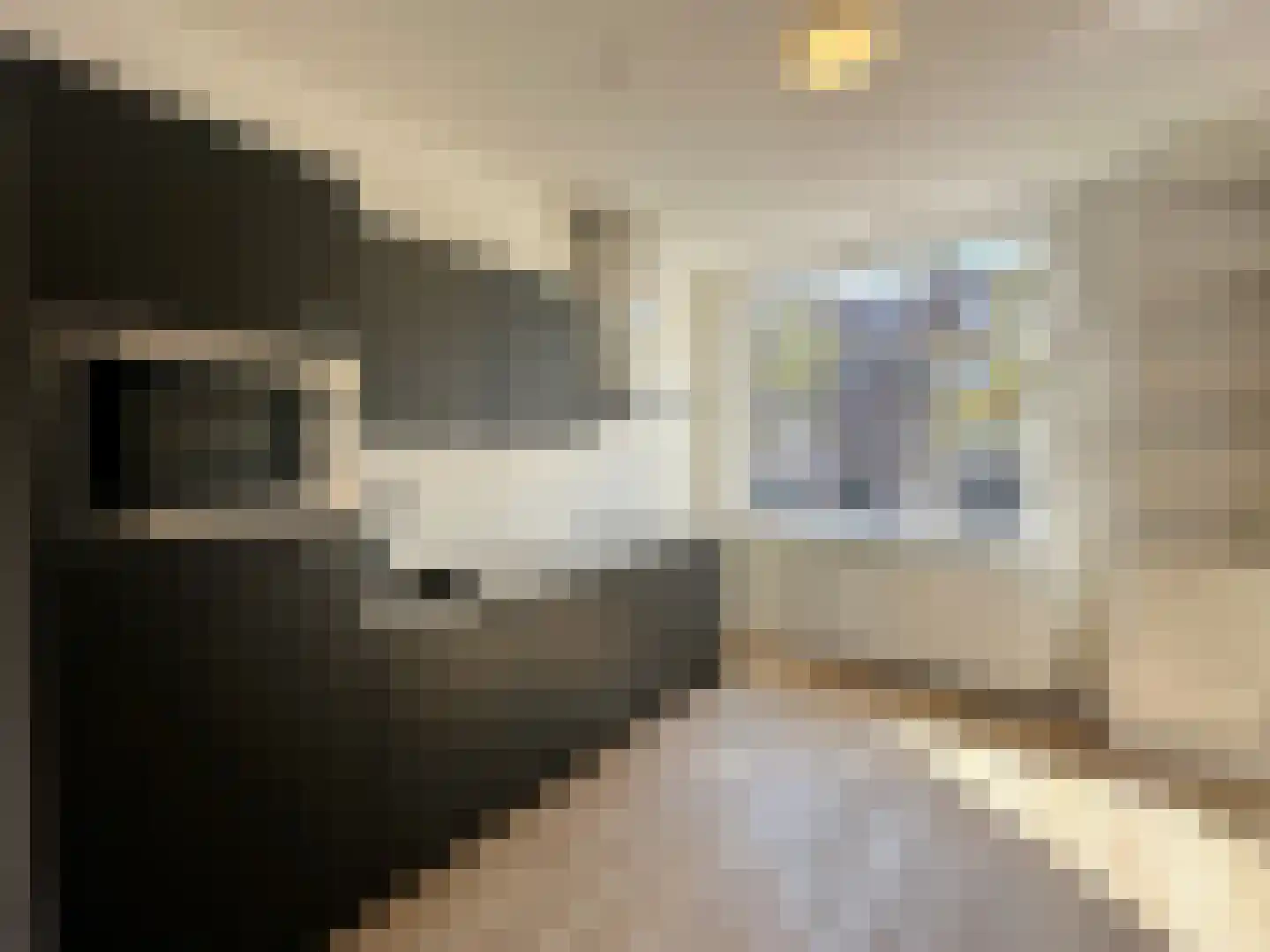 Strevelsweg 25 C Rotterdam thumbnail 4