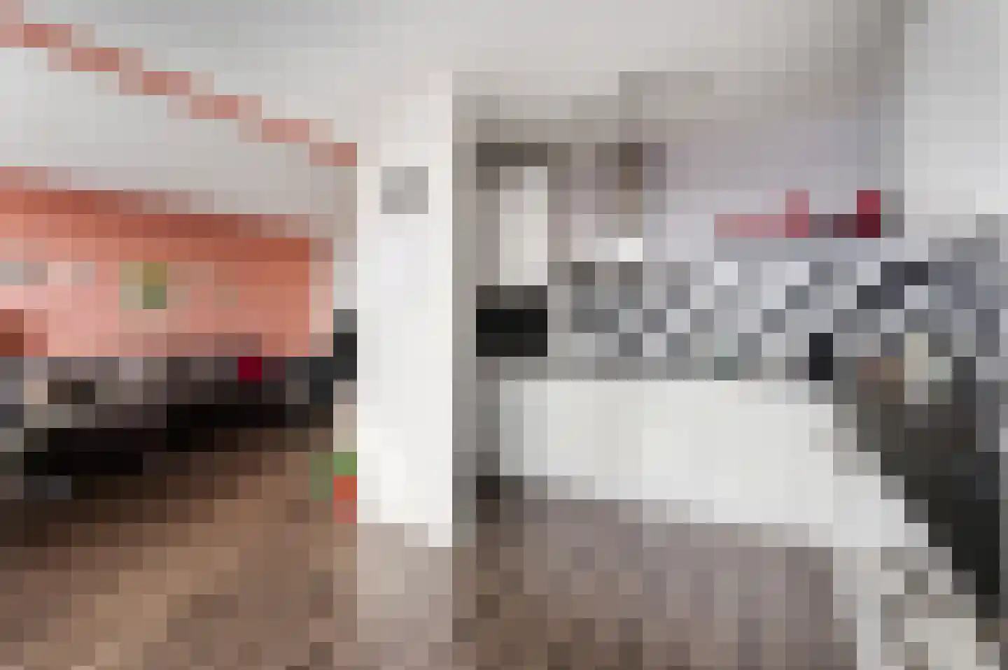 Strevelsweg 257 Rotterdam thumbnail 12