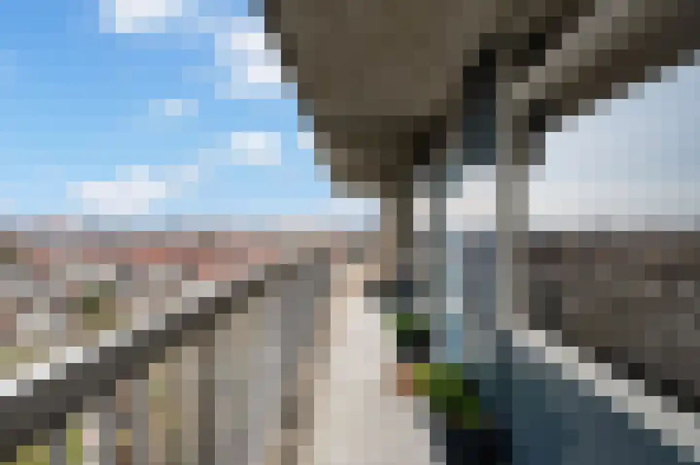 Strevelsweg 257 Rotterdam thumbnail 8