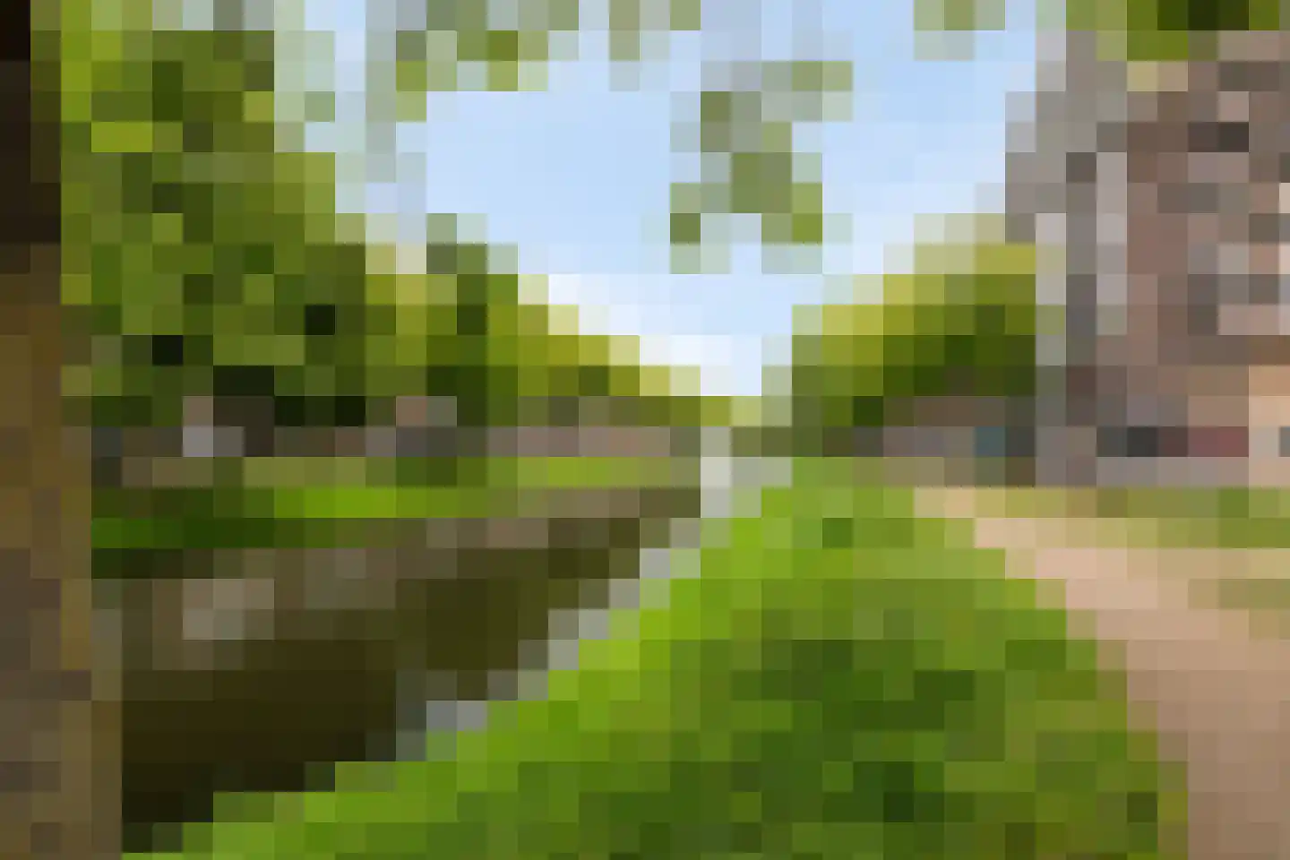 Strevelsweg 337 Rotterdam thumbnail 6
