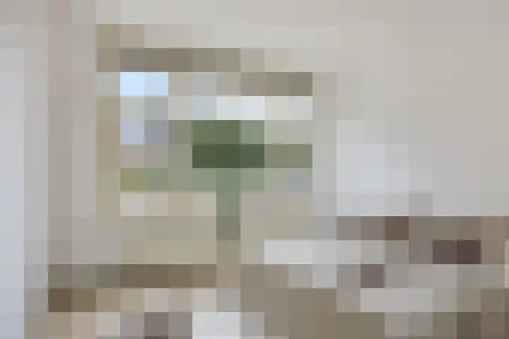 Strevelsweg 349 Rotterdam thumbnail 10