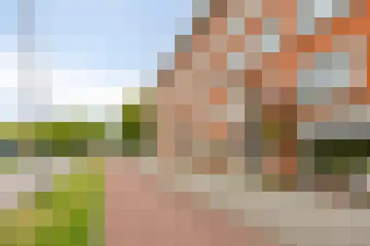 Strevelsweg 349 Rotterdam thumbnail 26