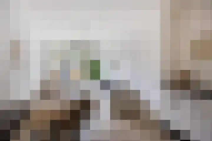 Strevelsweg 349 Rotterdam thumbnail 6