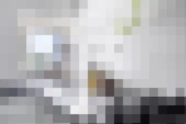 Strevelsweg 667 Rotterdam thumbnail 13