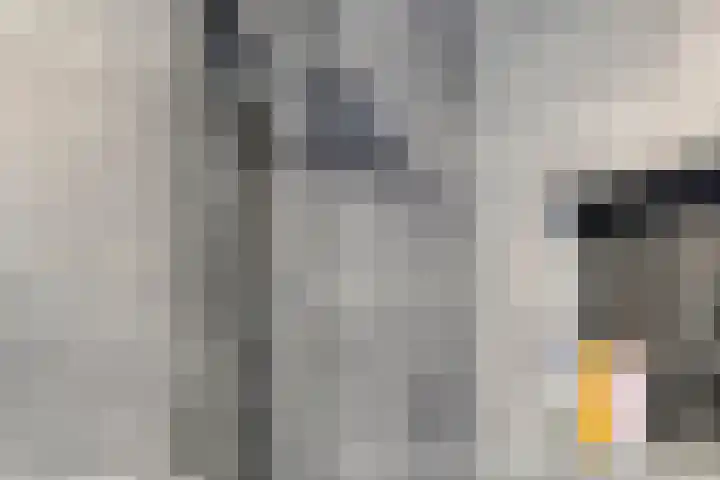 Strevelsweg 667 Rotterdam thumbnail 21