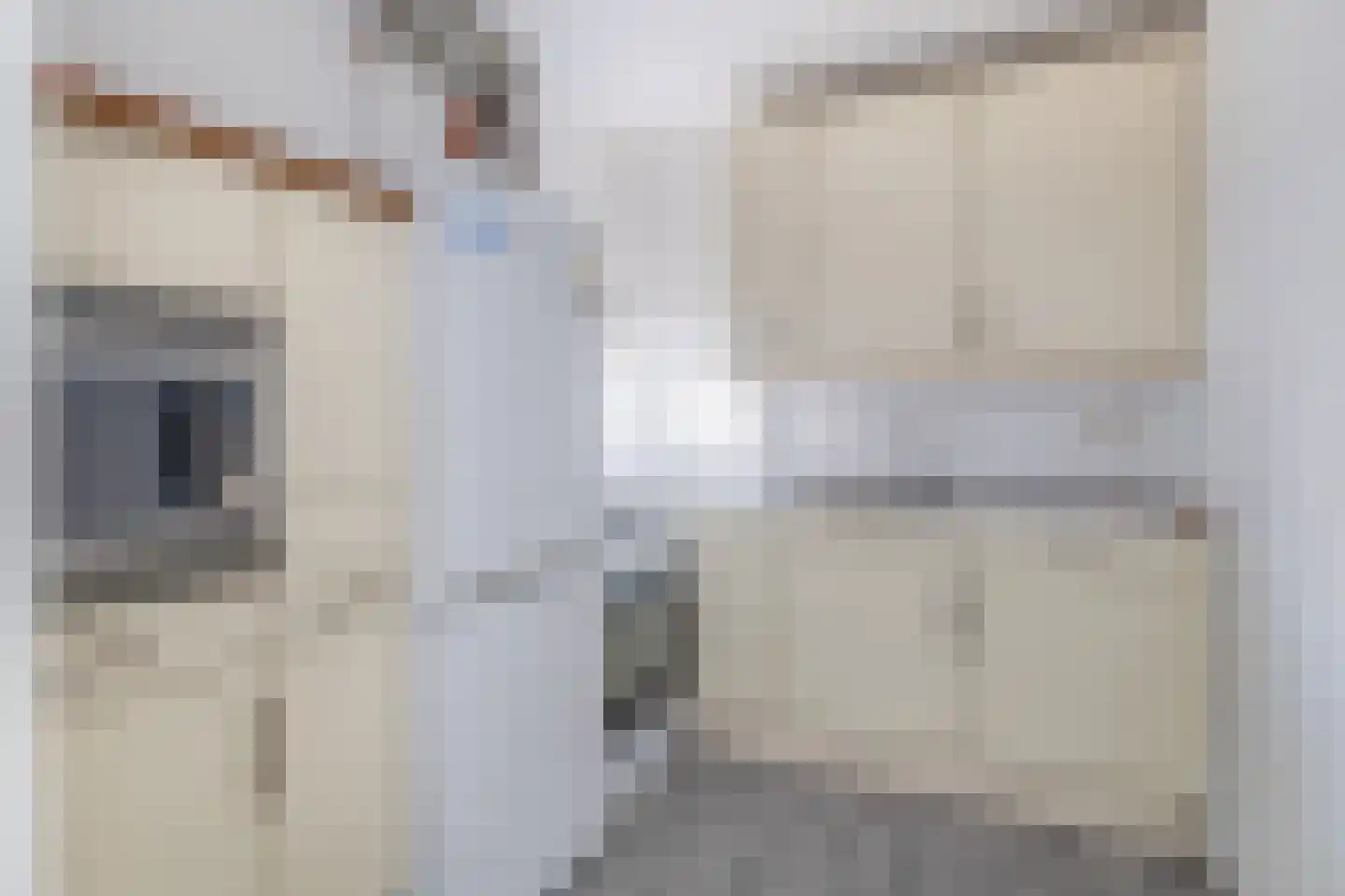 Strevelsweg 671 Rotterdam thumbnail 20