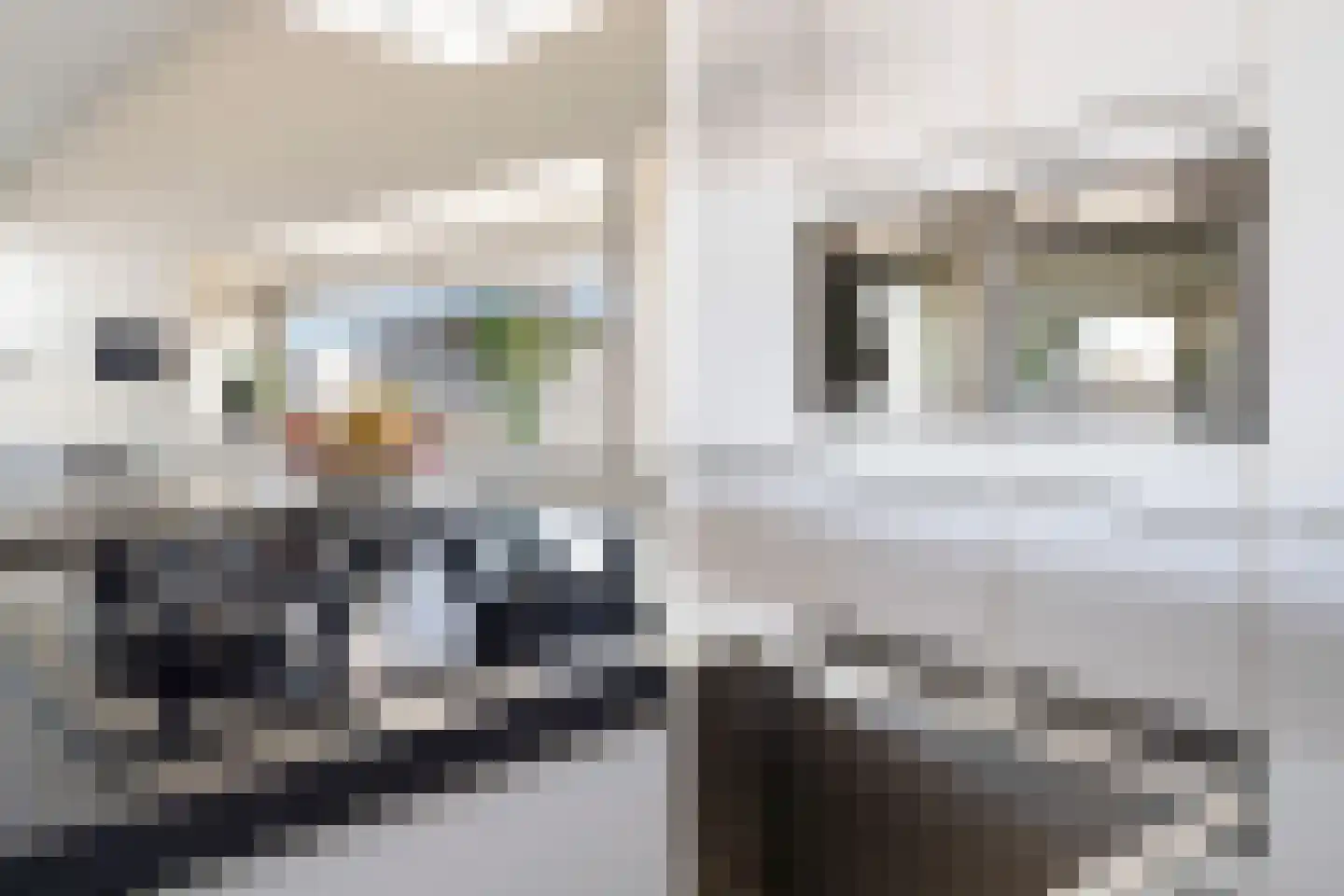 Strevelsweg 707 Rotterdam thumbnail 17