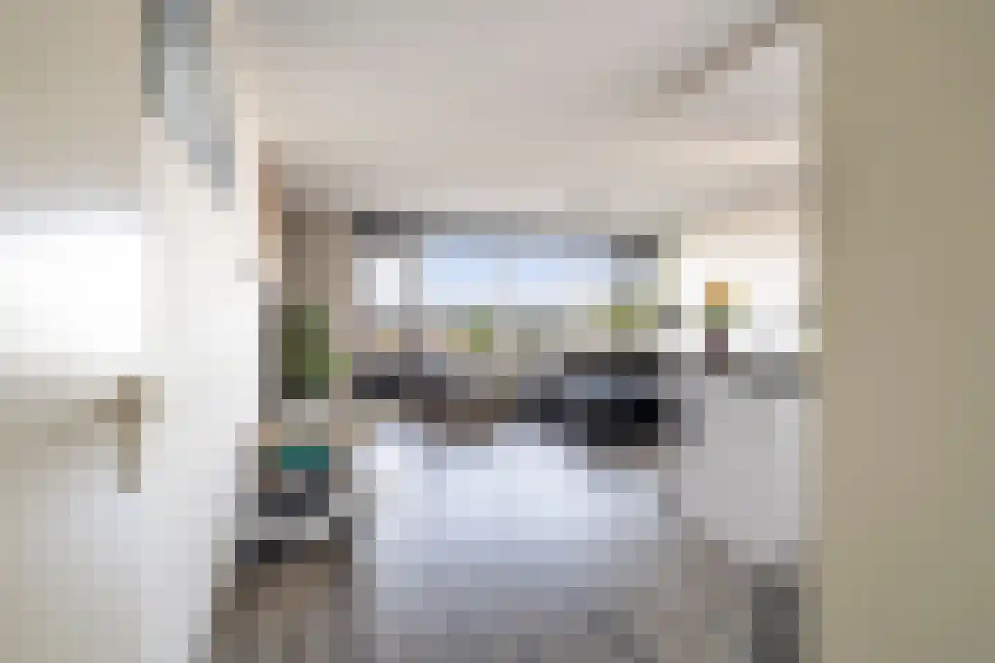 Strevelsweg 707 Rotterdam thumbnail 6