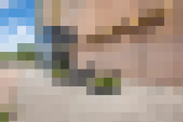 Strevelsweg 852 Rotterdam thumbnail 7