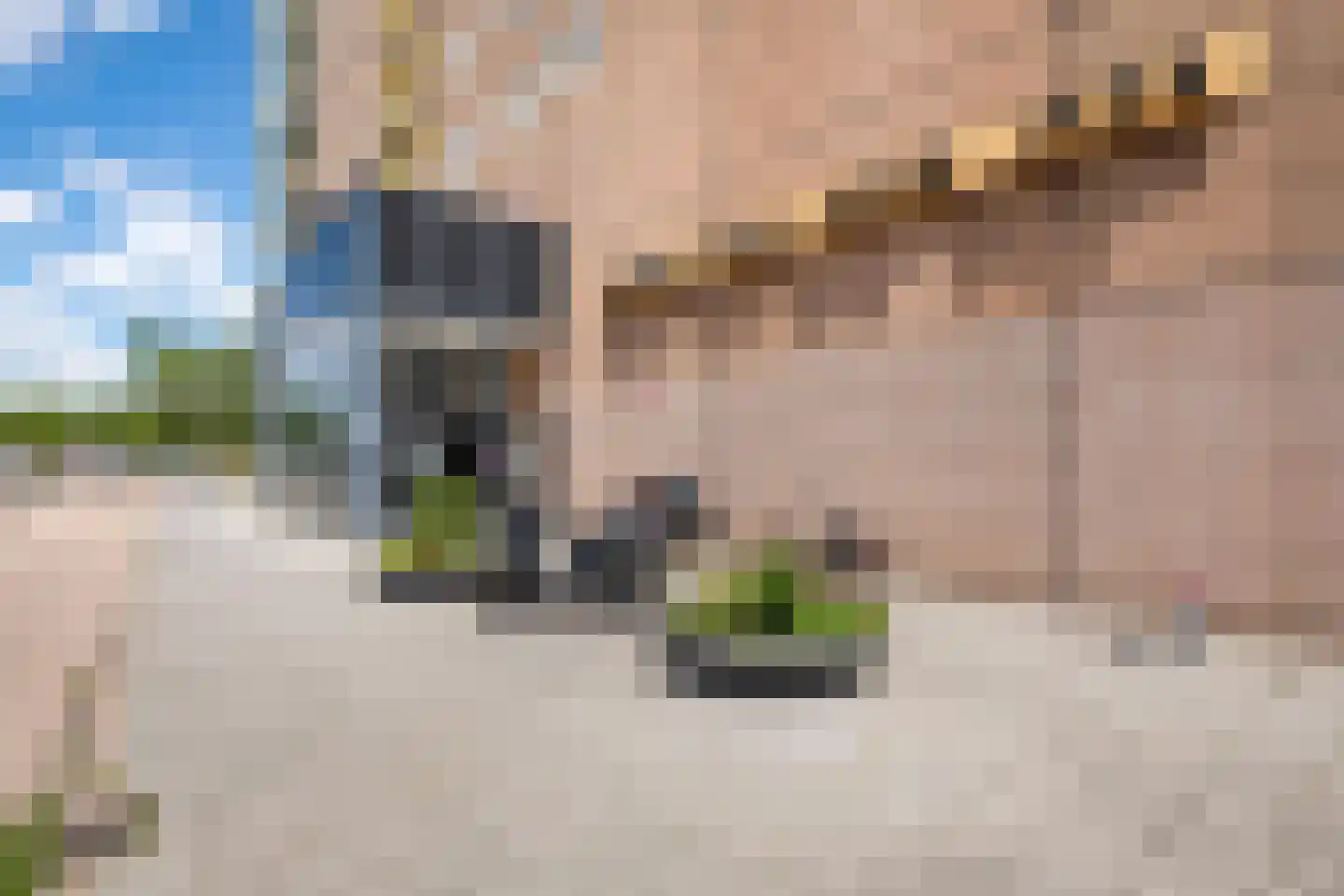 Strevelsweg 858 Rotterdam thumbnail 6
