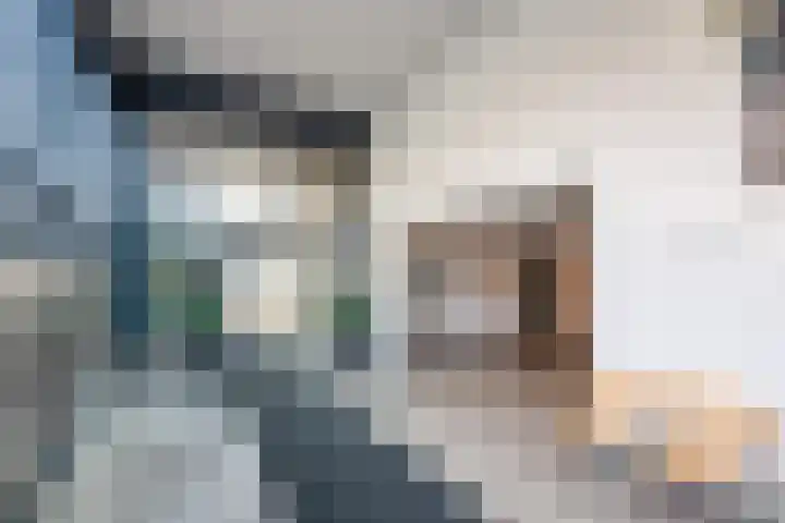 Strevelsweg 861 Rotterdam thumbnail 7