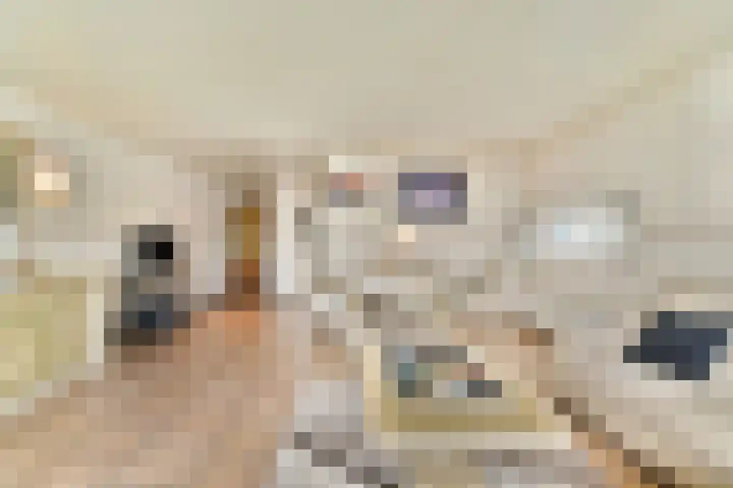 Strevelsweg 862 Rotterdam thumbnail 5