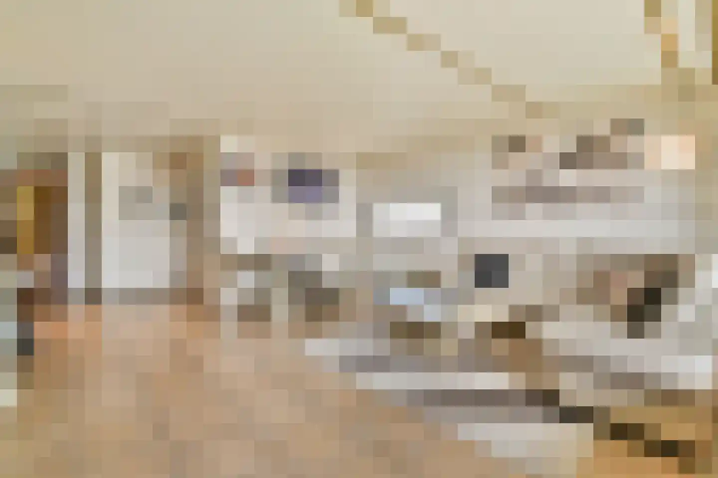 Strevelsweg 862 Rotterdam thumbnail 6