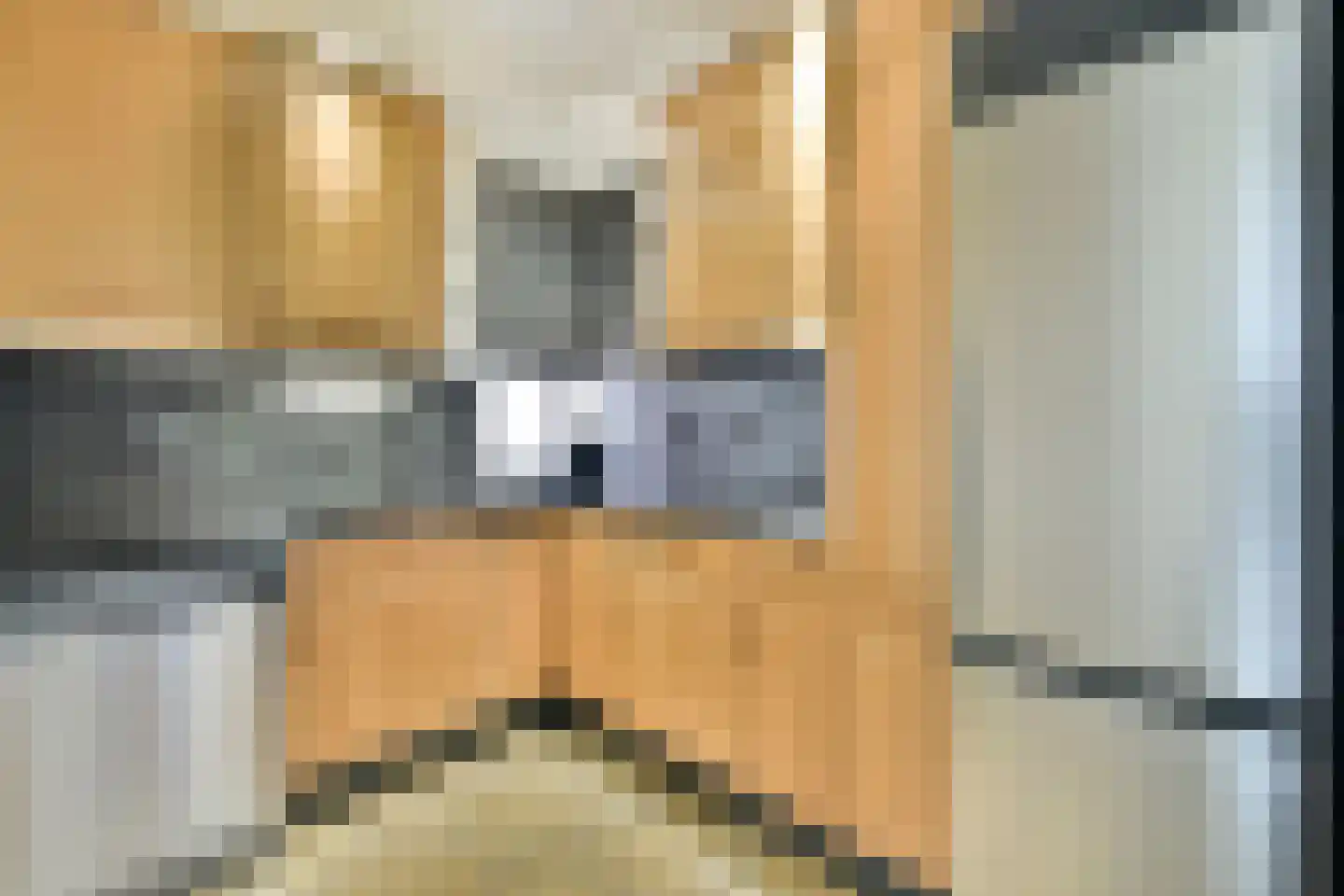 Strevelsweg 862 Rotterdam thumbnail 7