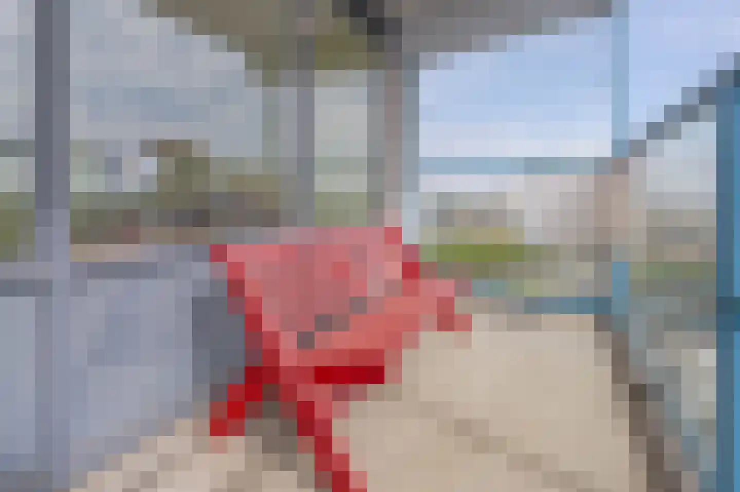 Strevelsweg 934 Rotterdam thumbnail 15