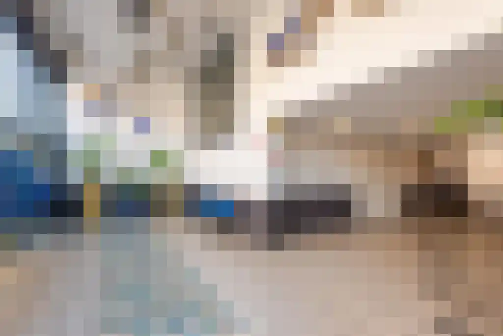Strevelsweg 936 Rotterdam thumbnail 8