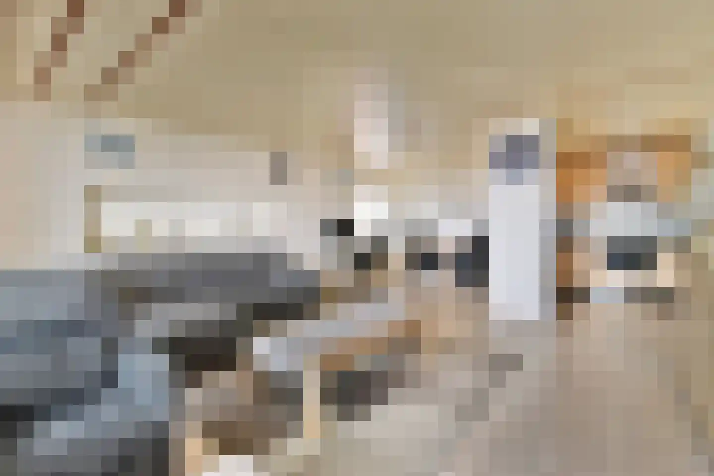 Strevelsweg 940 Rotterdam thumbnail 5