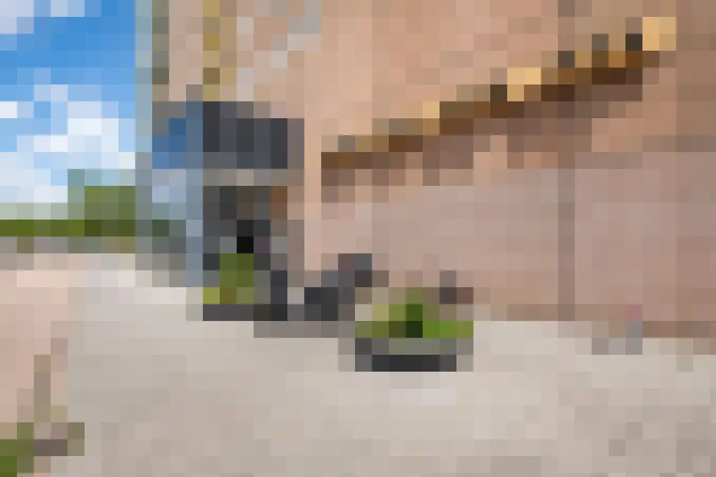 Strevelsweg 952 Rotterdam thumbnail 7