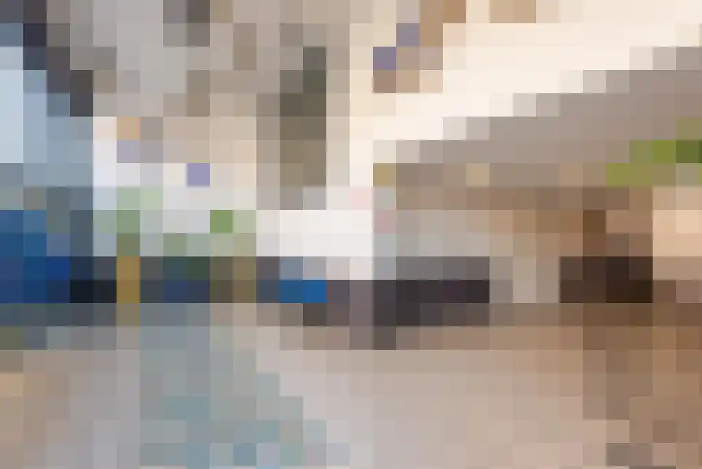 Strevelsweg 952 Rotterdam thumbnail 9