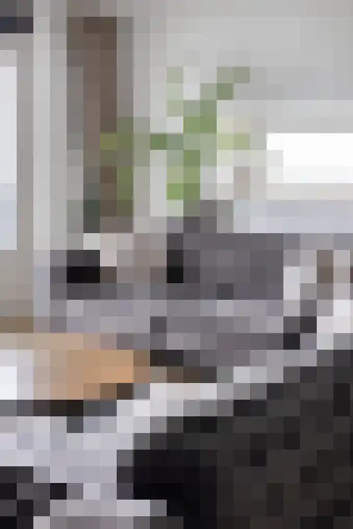 Strevelsweg 964 Rotterdam thumbnail 10
