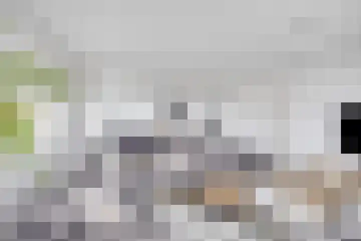 Strevelsweg 964 Rotterdam thumbnail 13