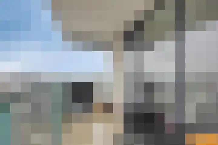 Strevelsweg 964 Rotterdam thumbnail 29