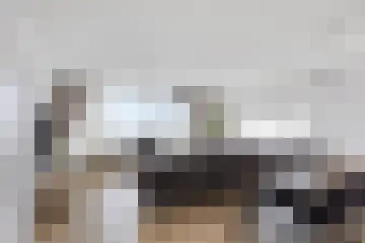 Strevelsweg 964 Rotterdam thumbnail 6