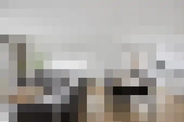 Strevelsweg 964 Rotterdam thumbnail 7