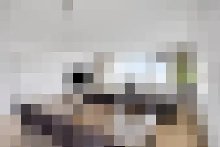Strevelsweg 964 Rotterdam thumbnail 8